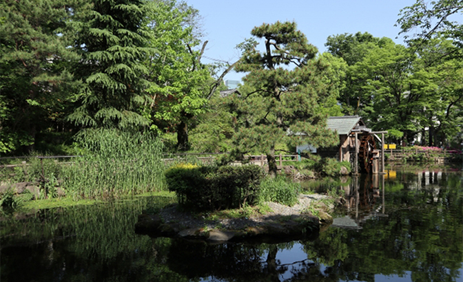 渋谷区松濤の特徴とは？　歴史や住環境、芸術・自然環境をご紹介