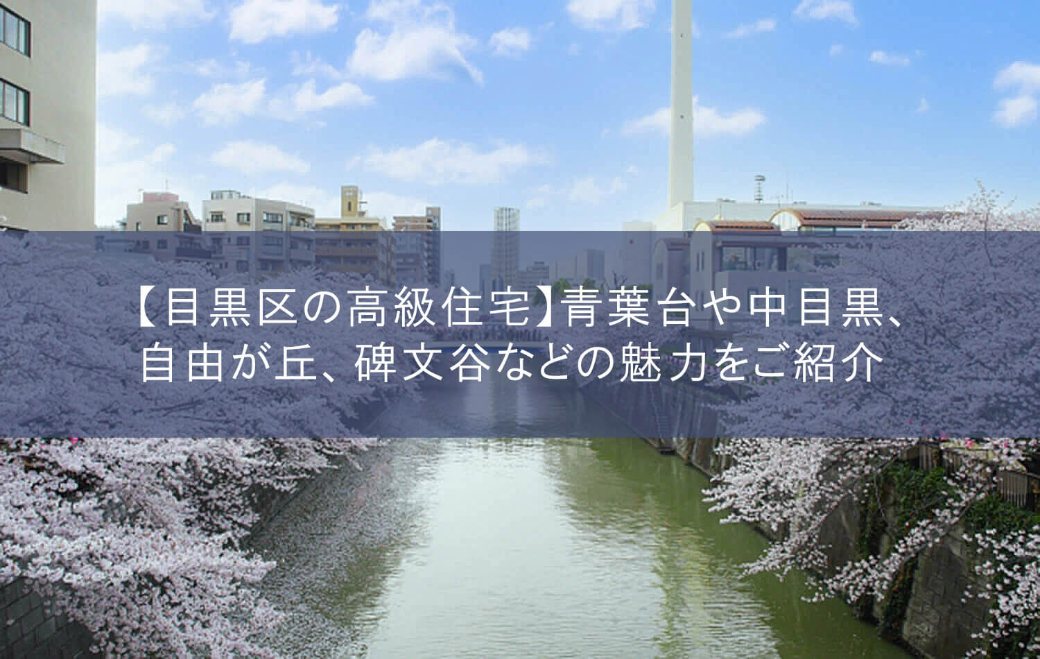 【目黒区の高級住宅】青葉台や中目黒、自由が丘、碑文谷などの魅力をご紹介
