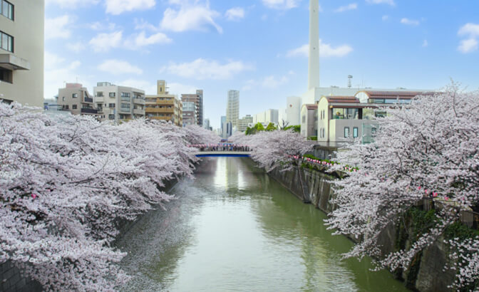 【目黒区の高級住宅】青葉台や中目黒、自由が丘、碑文谷などの魅力をご紹介