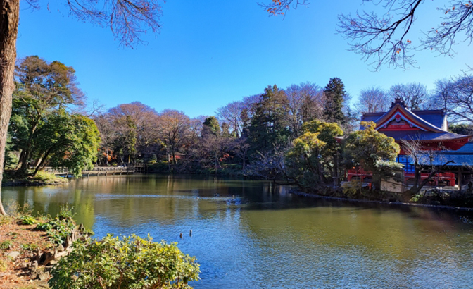 武蔵野市にある高級住宅街とは？　御殿山や吉祥寺南町、西久保などの魅力を解説