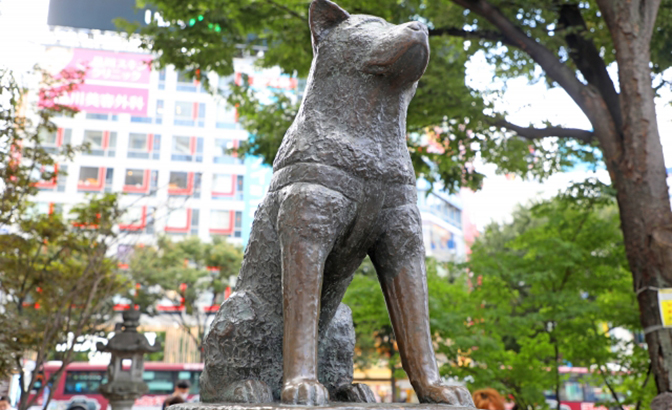 渋谷区にある高級住宅街とは？　松濤や広尾、富ヶ谷などの魅力を徹底解説